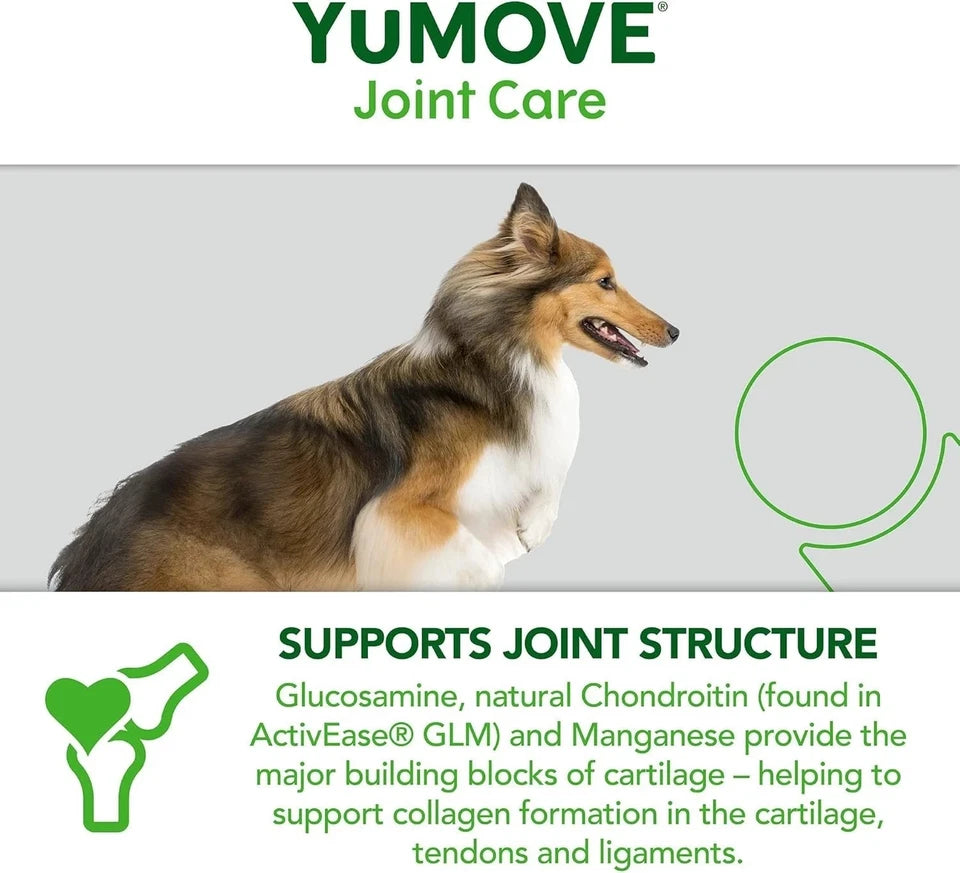 Lintbells YuMOVE Dog Joint Supplement Tablets – 300 Tablets | Joint Care Support for Dogs