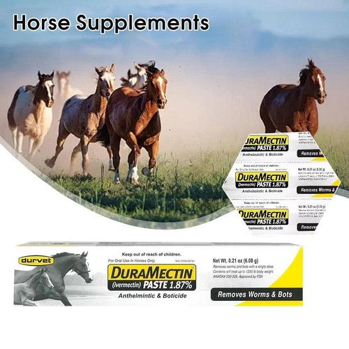 Durvet Duramectin Equine Wormer Paste 1 Tube for horses