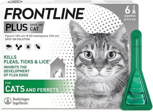FRONTLINE Spot On Plus flea and tick treatment for cats and ferrets with 6 pipettes