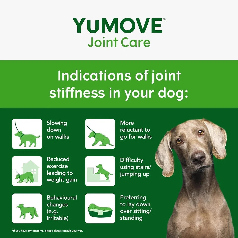 Lintbells YuMOVE Dog Joint Supplement Tablets 300 tablets for daily joint and mobility support
