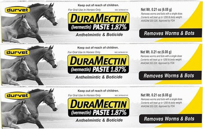 Durvet Duramectin Equine Wormer Paste – 1 Tube