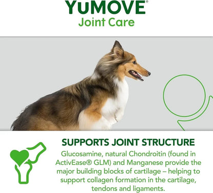 Lintbells YuMOVE Dog Joint Supplement Tablets – 300 Tablets | Joint Care Support for Dogs